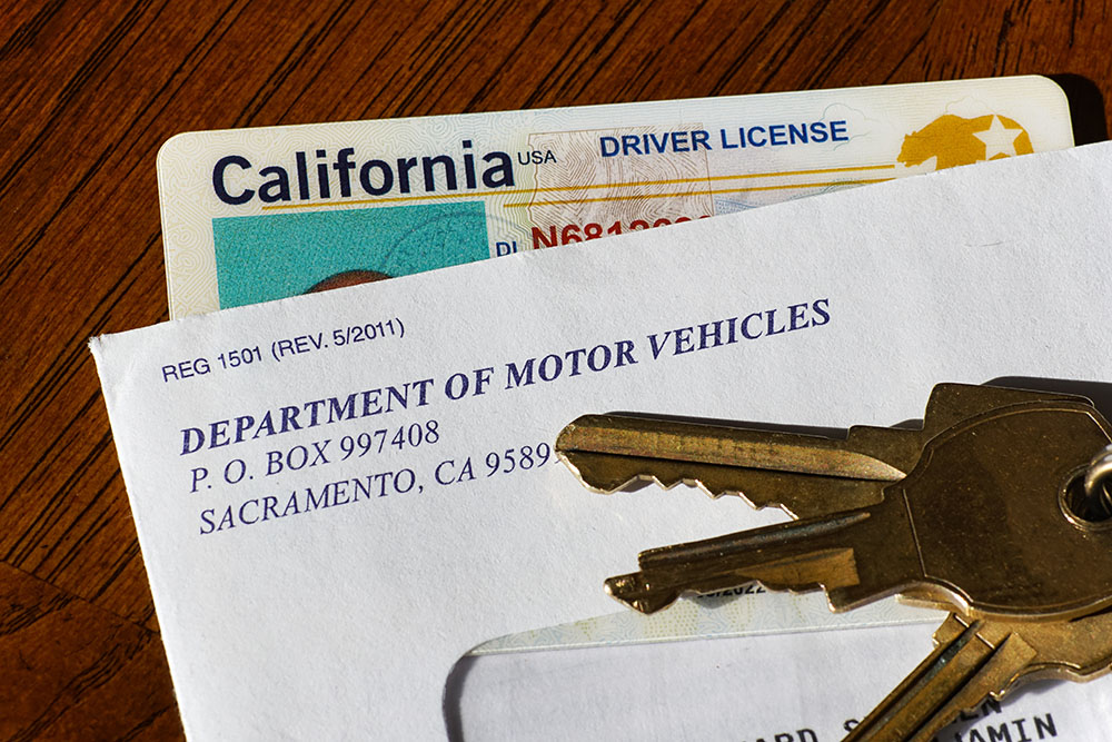 california driver's license